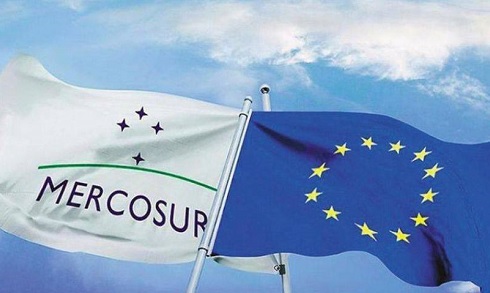Acuerdo Mercosur-UE, ¿celebración o preocupación?
